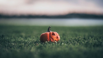 🎃Film d'horreur et prospection de la faune nocturne🎃